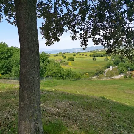 L'asinello Sulla Francigena Montefiascone