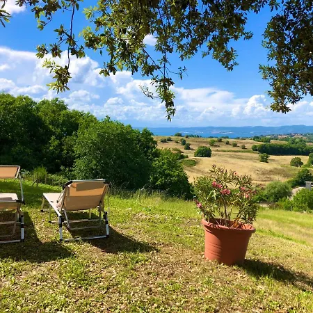L'asinello Sulla Francigena
