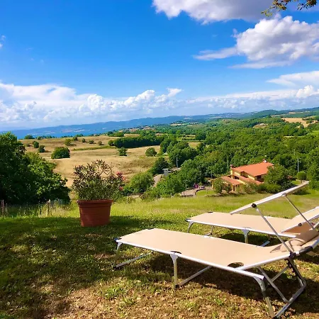 L'asinello Sulla Francigena *