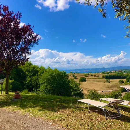 L'asinello Sulla Francigena *