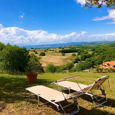 L'asinello Sulla Francigena *