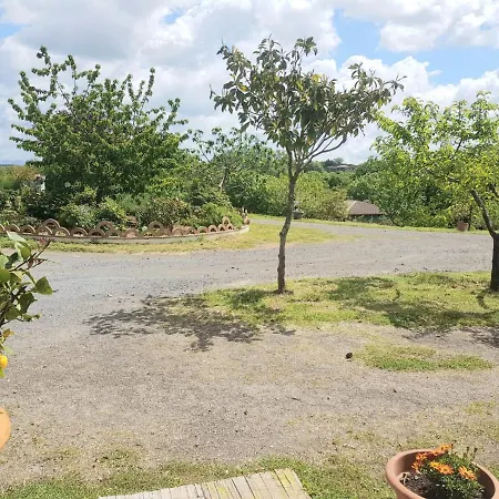 L'asinello Sulla Francigena * Montefiascone