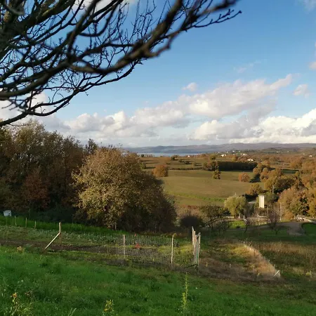 L'asinello Sulla Francigena Montefiascone